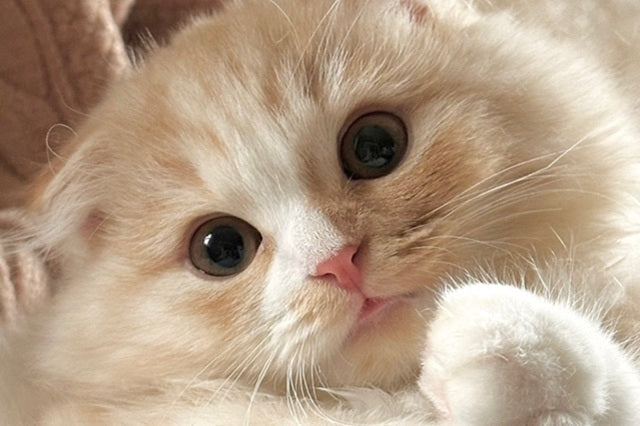 【わたしの好きな動物】フォトコンテスト受賞者発表!